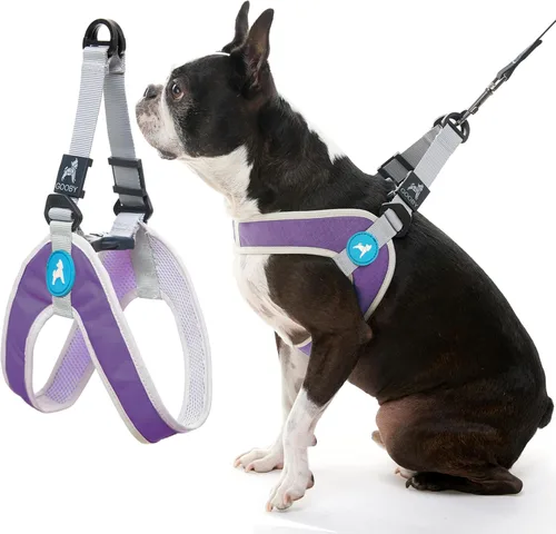 Vista 5 de Gooby Simple Step in III - Arnés para perro, verde, extra pequeño - Arnés para perros pequeños con chaqueta exterior resistente a los rasguños