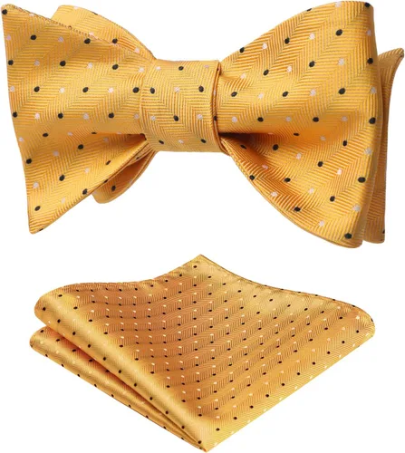 Vista 135 de HISDERN Pajaritas para hombre, diseño de lunares, corbatín y bolsillo cuadrado, clásico, esmoquin de negocios, boda, pajaritas, pañuelo