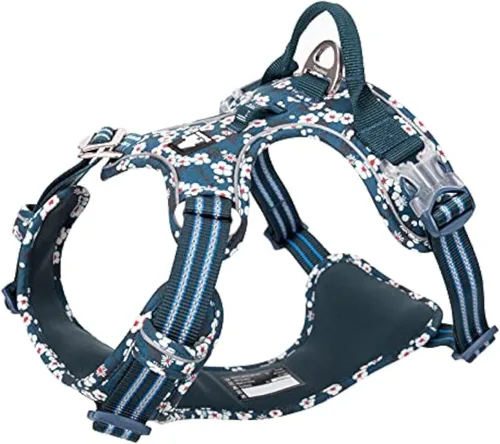 Vista 3 de WINHYEPET True Love TLH56555 - Arnés para perro sin tirones, tela de algodón transpirable y reflectante suave, ajustable para correr y caminar