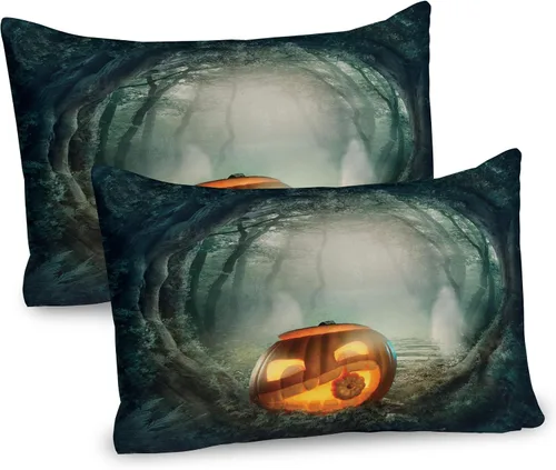 Vista 23 de Ambesonne Juego de 2 fundas de almohada navideñas, diseño de estrellas de Navidad y copos de nieve, letras retro, ropa de cama de microfibra
