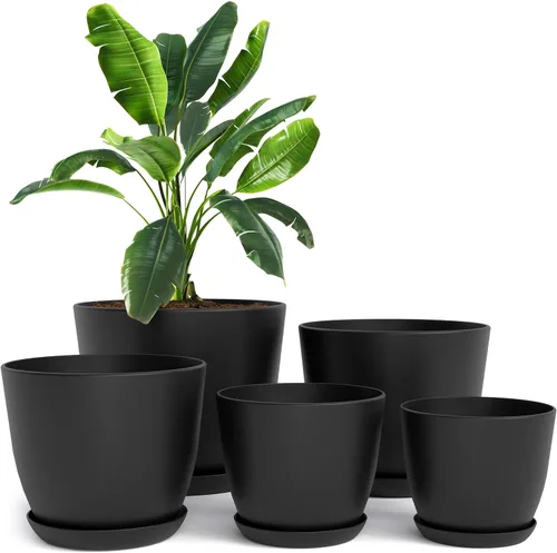 Vista 28 de Utopia Home - Macetas de Interior con Drenaje - Macetas de Flores de 7/6.6/6/5.3/4.8 Pulgadas para Plantas de Interior - Juego de 5 Macetas