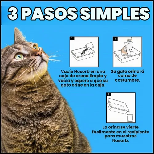 Vista 6 de Creative Science Nosorb - Arena para gatos no absorbente 6 onzas Recoge fácilmente muestras de orina de gatos