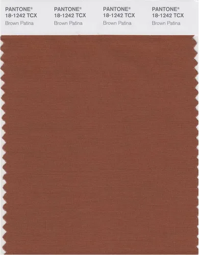 Vista 27 de PANTONE Tarjeta de muestra de color inteligente 18-1314X, bellota