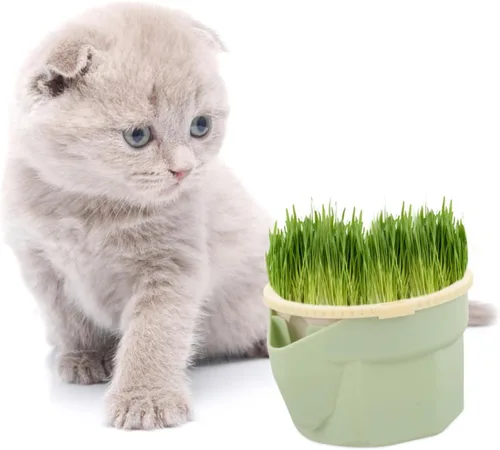 Vista 8 de Mipcase Plantas de interior Gato Hierba Taza Hidropónica Plantas Hidropónicas Plantas Hidropónicas Gato Plantador Plantador Mascotas Hierba