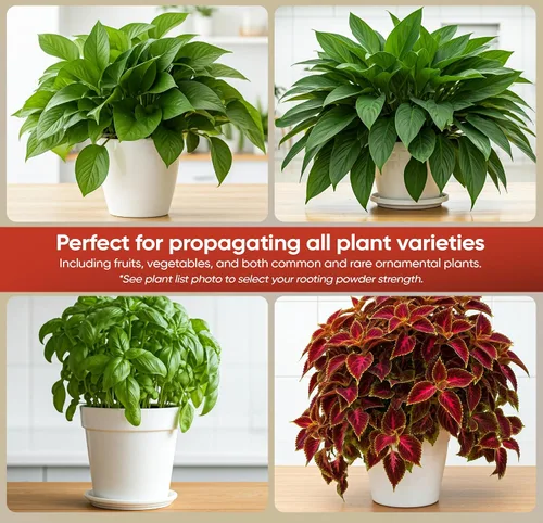 Vista 5 de Hormex Polvo de enraizamiento #1 (0.10 IBA): hormona de enraizamiento para plantas de interior delicadas, hierbas de jardín y esquejes suculentos