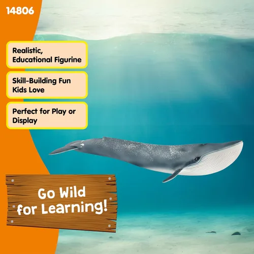 Vista 2 de Schleich Wild Life - Figurina realista de ballena azul, juguete de animal acuático auténtico y altamente detallado, duradero para la educación