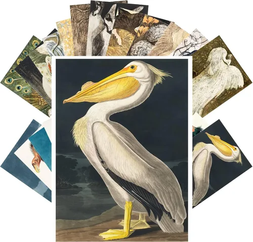 Vista 3 de Pixiluv Postales vintage (24 piezas de 10x15 cm cada una) Ilustración de libro botánico antiguo de colibríes y pájaros pequeños Tarjetas de nota Agua