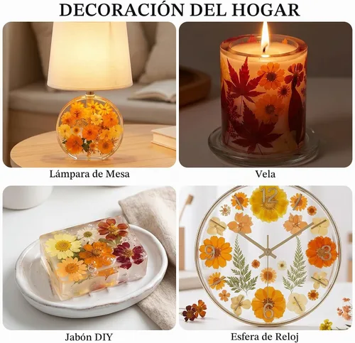 Vista 5 de 350 piezas de flores secas de otoño para manualidades, flores secas