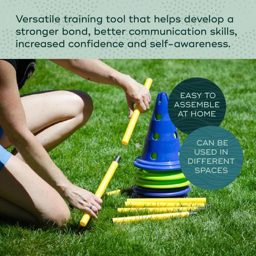 Vista 3 de FitPAWS Kit de agilidad Ball Dynamics CanineGym