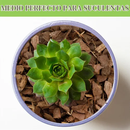 Vista 4 de Mantillo para plantas de casa (8 cuartos), astillas pequeñas de corteza de madera para interiores, patio, medio de cultivo, ¡y mucho más!