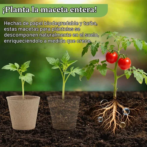 Vista 2 de RooTrimmer Macetas de turba de 3.15 pulgadas, 100 piezas con bandejas de plántulas de 20 celdas, 5 unidades, macetas biodegradables para inicio