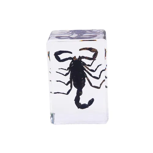 Vista 5 de Espécimen de resina Colección de insectos Pisapapeles Espécimen animal para educación científica 6 estilos insectos