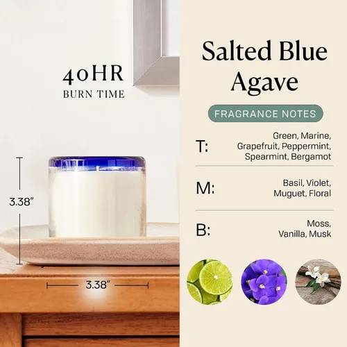 Vista 3 de Paddywax La Playa, Vela perfumada de agave azul salado en vidrio de burbujas soplado a mano reutilizable, vela de cera de soja con aproximadamente