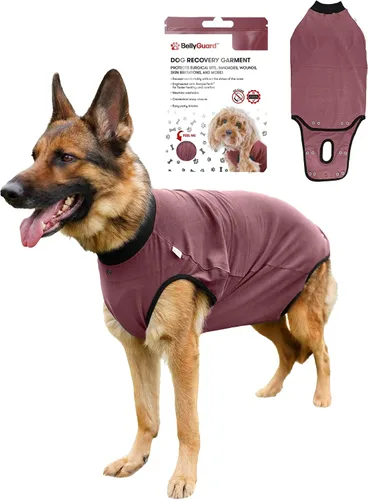 Vista 17 de Traje de Recuperación Quirúrgica BellyGuard para Perros, Mameluco para Perros para Cuidado Post-Operatorio, Ropa de Recuperación para Perros Hembra