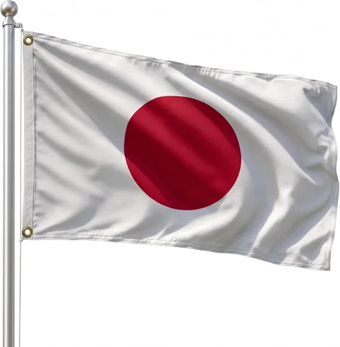Vista 154 de DMSE - Bandera nacional beninesa beninesa de la República de África Occidental, 2 x 3 pies, 100 % poliéster, 100 % poliéster, resistente a los rayos
