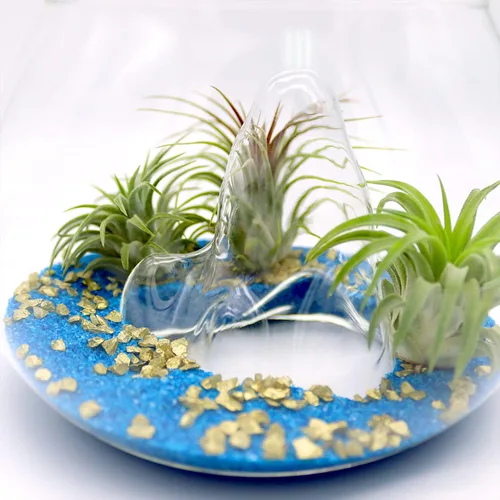 Vista 5 de Juego de terrario de cuenco de montaña de cristal de 6 pulgadas con arena, copos dorados y 3 plantas de aire Tillandsia vivas para jardines