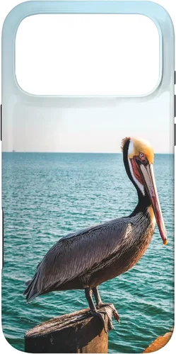 Vista 21 de iPhone 11 Pelican Case