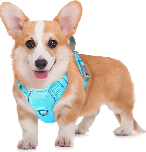Vista 104 de BARKBAY Arnés para Perro Sin Tirones Talla Grande Arnés Reflectante para Perro con Clip Frontal y Asa de Control Fácil para Caminar Entrenar Correr