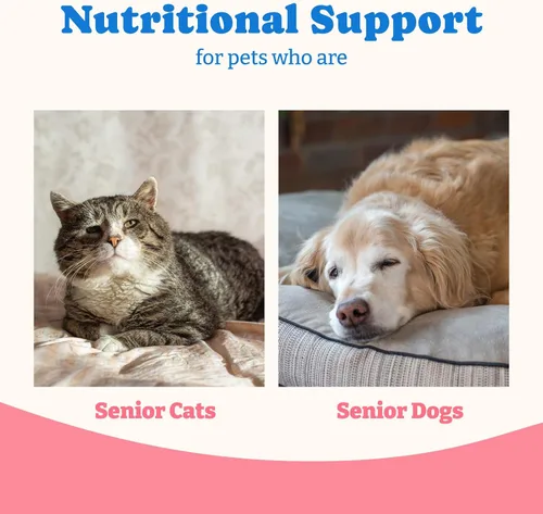 Vista 5 de Gel nutricional de calostro bovino para perros y gatos - Suplemento alto en calorías para perros y gatos, apoya el apetito por los gatos, apoyo