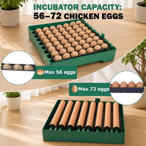 Vista 9 de Incubadora para incubación de 72 huevos para pollo/pato/codorniz