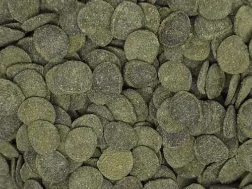 Vista 3 de Mini discos de algas - Dieta de hundimiento para caracoles, camarones y peces de alimentación inferior (9 oz (255 g))