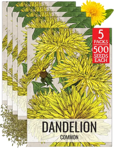 Vista 15 de Seed Needs - Semillas de achicoria para plantar flores azules de diente de león italiano, 1 paquete