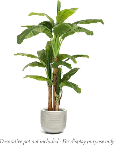 Vista 2 de AMERIQUE Magnífica planta de seda artificial Musa Basjoo de 6.5 pies con protección UV, con maceta de plástico para guardería, tecnología Feel Real