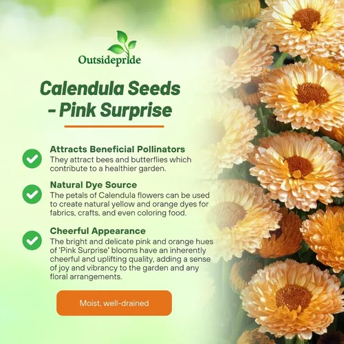 Vista 3 de Outsidepride 1000 semillas anuales de caléndula rosa sorpresa Pot semillas de flores de caléndula para plantar