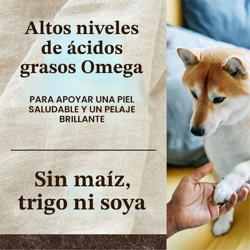 Vista 11 de Merrick - Alimento seco para perros, receta de pollo real y batata libre de granos, 4 libras, en bolsa