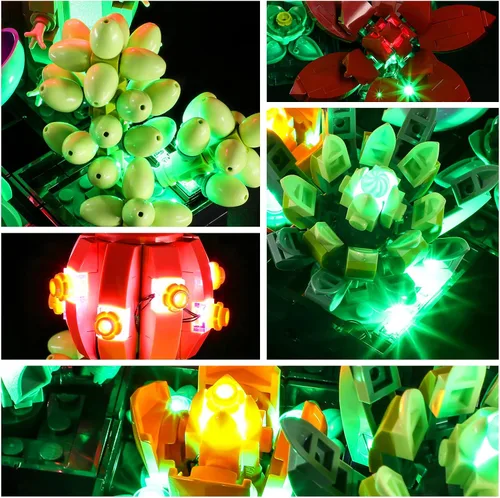 Vista 4 de YEABRICKS Luz LED para Lego-10309 Creator Succulents Modelo de bloques de construcción (juego de Lego no incluido)