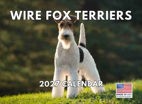 Vista 83 de Calendario mensual de pared Airedale Terrier Dog 2027