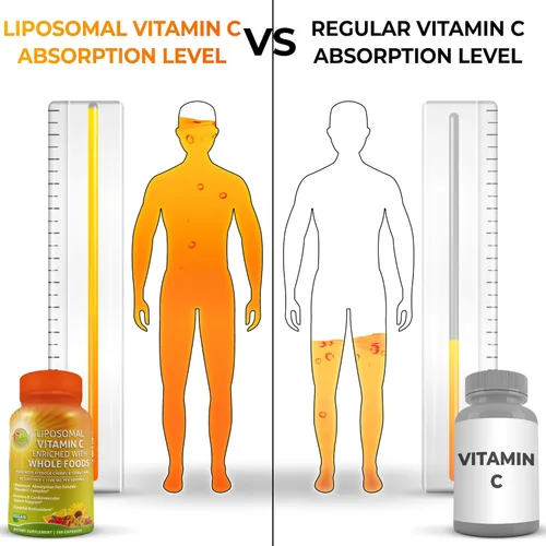 Vista 2 de Quercetina con bromelina, vitamina C y zinc + vitamina C liposomal de 1500 mg – Paquete de apoyo inmunológico con cereza de acerola orgánica, Camu