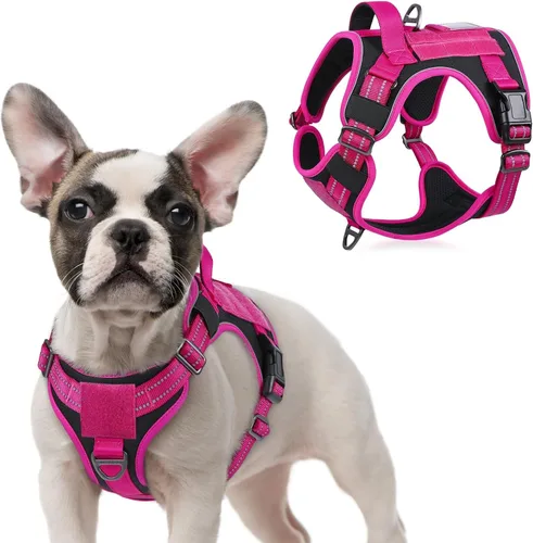 Vista 40 de rabbitgoo Arnés táctico para perros pequeños, chaleco de servicio militar sin tirones con asa y Molle, de fácil control para entrenar y caminar
