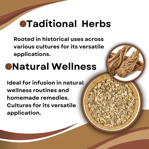 Vista 6 de Herbs Botanica Angelica Root - Hierba angélica de corte suelto y tamizado Ángel de hierbas Angelica Archangelica para té de hierbas, para hornear