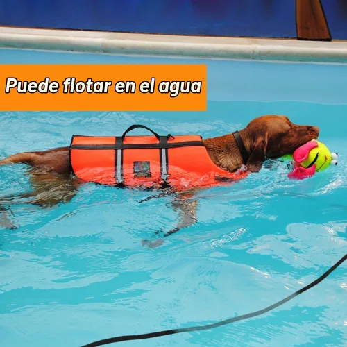 Vista 2 de Vivifying - Cable flotante para perros de 20 pies, correa de entrenamiento Negro