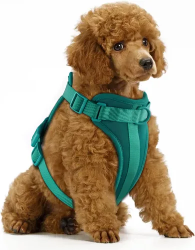 Vista 11 de Wisedog Arnés Ligero Sin Tirones para Perro: Arnés de Chaleco de Malla Transpirable Ajustable para Mascotas con Cojín Suave y Cómodo, para Perros