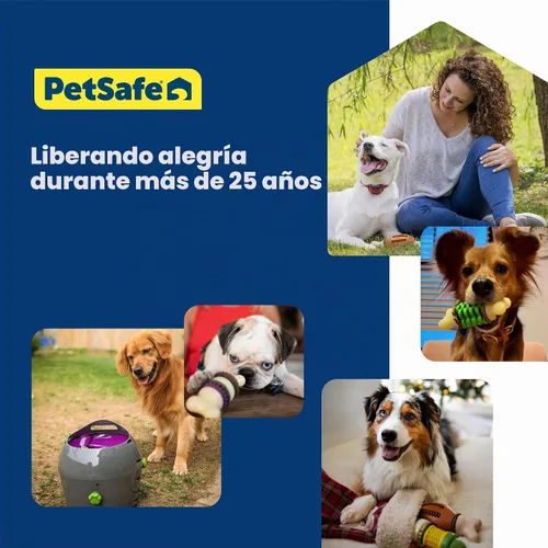 Vista 6 de PetSafe Lanzador Automático de Bolas - Juego Interactivo de Búsqueda - Entrenamiento de Búsqueda Sin Manos - Rango Ajustable - Incluye Bolas
