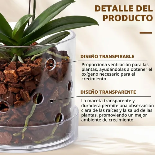 Vista 3 de Maceta de orquídea acrílica transparente de 6 pulgadas con agujeros