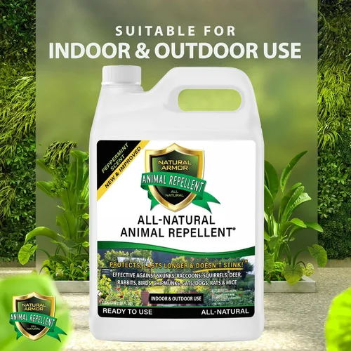 Vista 3 de Natural Armor Repelente en aerosol para animales y roedores. Ahuyenta zorrillos, mapaches, ratas, ratones, ciervos, roedores y bichos. Repelente