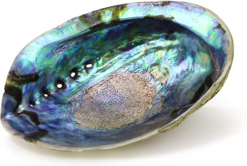 Vista 3 de Ocean Shell Studios - Concha de abulón natural premium de 5-6 pulgadas (Pāua) para sahumerio, limpieza del hogar, meditación, manualidades