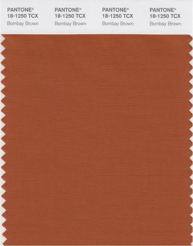 Vista 23 de PANTONE Tarjeta de muestra de color inteligente 18-1314X, bellota