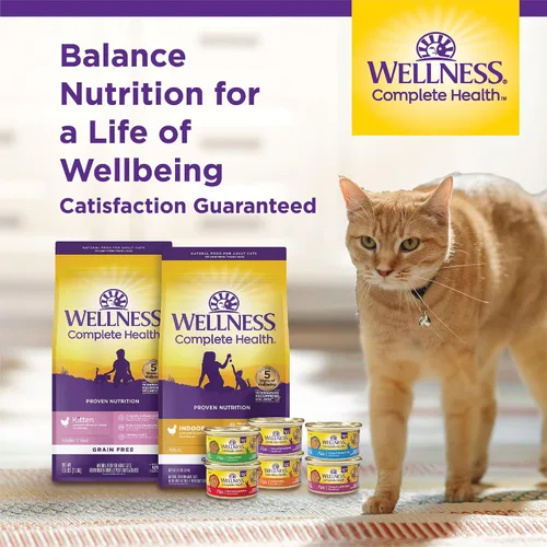 Vista 9 de Comida para gatos enlatada Wellness, comida húmeda, Rojo