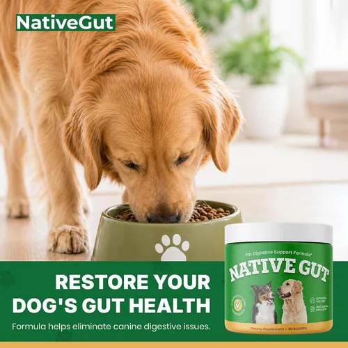 Vista 5 de Suplemento probiótico natural para mascotas, apoya la salud digestiva y el microbioma intestinal, 8 cepas probióticas, forma de polvo, 30 cucharadas