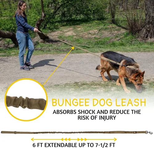 Vista 4 de Juego de correa y collar para perros extragrandes Green Bungee