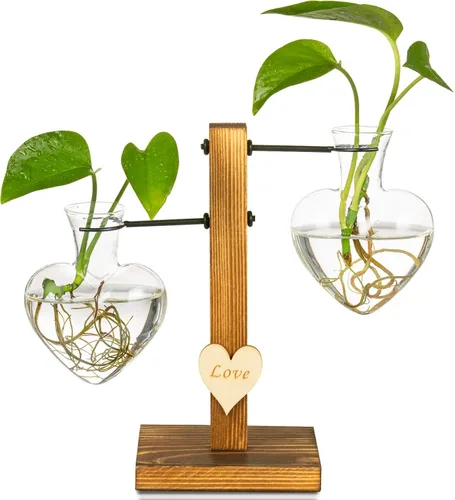 Vista 7 de Kingbuy Florero de Bulbo de Vidrio Macetero Terrario de Plantas de Escritorio con Soporte Retro de Madera Sólida para Propagación Hidropónica