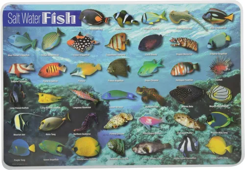 Vista 6 de Painless Learning Popular Birds - Mantel individual, tamaño grande