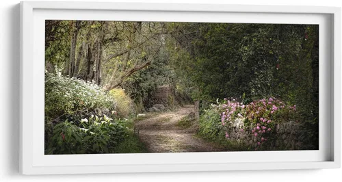 Vista 8 de Canvas Lab SECRET GARDEN by Ariadne Contreras 15 x 7 in Fine Art Framed Print, Frame Color: Black, With Mat Botanical, Scenery, Floral
