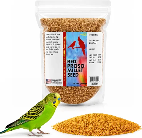 Vista 29 de Semillas de cáñamo Morning Bird, 4.5 lb