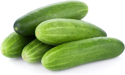 Vista 2 de TKE Farms & Gardens - Semillas de pepino, 8 rectas, 55 semillas de pepino sin OMG, ideales para rebanar, ensaladas y encurtidos crujientes, incluye