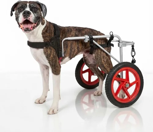 Vista 2 de Silla de ruedas para perros para patas traseras, diseñada y probada por cirujano ortopédico K9, carrito ajustable para cochecito con ruedas todo